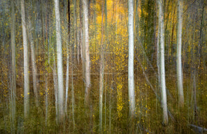 Autumn in Eastern Sierra